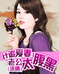 计追爱妻:老公太腹黑