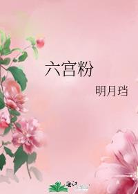 六宫粉主要讲什么