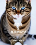 猫武士之鹰羽的记忆