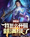 网游:我怎么开局就满级了?