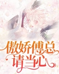 傲娇傅总请当心