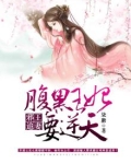 邪王追妻，腹黑王妃要逆天