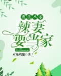 重生八零辣妻要当家