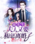 蓝先生：夫人又要和您离婚了
