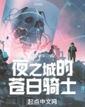夜之城的苍白骑士