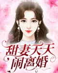 甜妻天天闹离婚