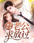 盛宠娇妻:老公求放过