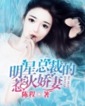明星总裁的惹火娇妻