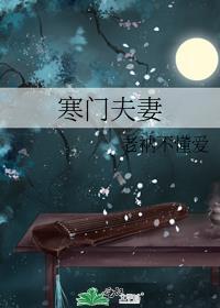 寒门夫妻 小说