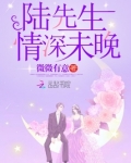 陆先生,情深未晚