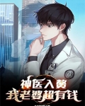 神医入赘,我老婆超有钱