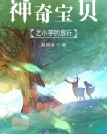 神奇宝贝之小芋的旅行