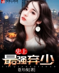 史上最强弃少