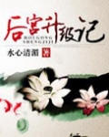 后宫升级记