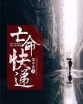 亡命快递