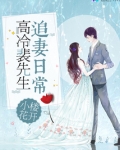 高冷裴先生追妻日常