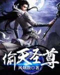 偷天圣尊