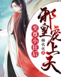 至尊小狂后:邪皇宠上天