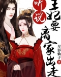 皇叔,王妃又翻墙了