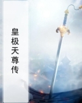 皇极天尊传