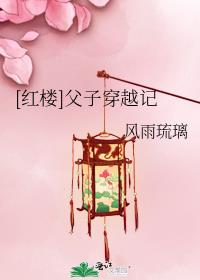 [红楼]父子穿越记