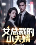 女总裁的小夫婿