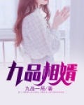 九品相婿