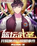 篮坛武圣，开局奥本山宫殿事件