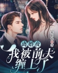 离婚夜，我被前夫缠上了