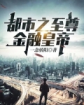 都市之至尊金融皇帝