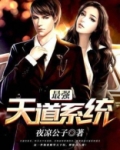 最强天道系统