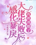 感化暴戾大佬失败后,我被诱婚了