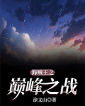 海贼王之巅峰之战