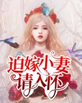 迫嫁小妻请入怀