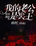 诡案迷踪:我的老公是冥王