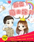 报告,萌妻嫁到
