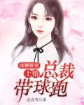 迷糊娇妻:上错总裁带球跑