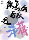 你怎么可以这洋蒋？
